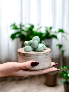 Kaktus glow m świeca sojowa w postarzanym pojemniku gipsowym z zielonym kaktusem. Elegancka dekoracja, naturalny wosk, idealna na prezent.