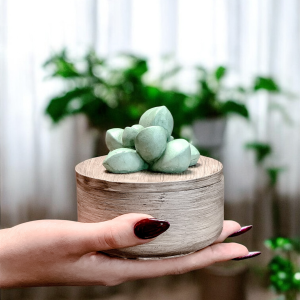 Kaktus glow m świeca sojowa w postarzanym pojemniku gipsowym z zielonym kaktusem. Elegancka dekoracja, naturalny wosk, idealna na prezent.