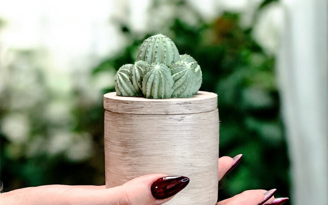 Świeca sojowa w pojemniku z kaktusem to naturalna świeca sojowa w postarzanym pojemniku z pokrywką. Na pokrywce zielony dekoracyjny kaktus.