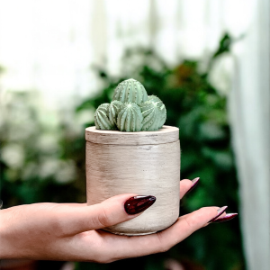 Świeca sojowa w pojemniku z kaktusem to naturalna świeca sojowa w postarzanym pojemniku z pokrywką. Na pokrywce zielony dekoracyjny kaktus.