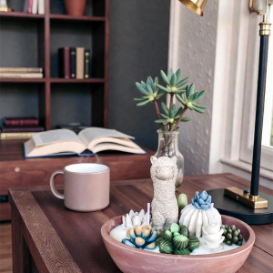 Świeca sojowa alpaka w kaktusach. Zielone kaktusy w pojemniku gipsowym z brązową, dekoracyjną alpaką.