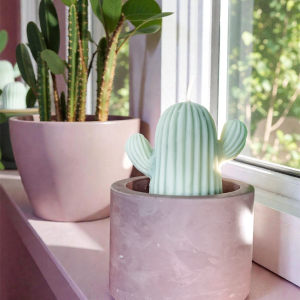 Świeca sojowa kaktus w doniczce. Dekoracyjna świeca sojowa kaktus zielony w postarzanym pojemniku.