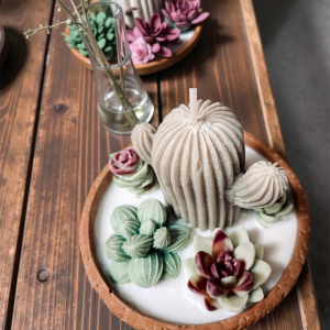 Świeca sojowa kaktusy w doniczce z trzema kolorowymi sojowymi kaktusami.