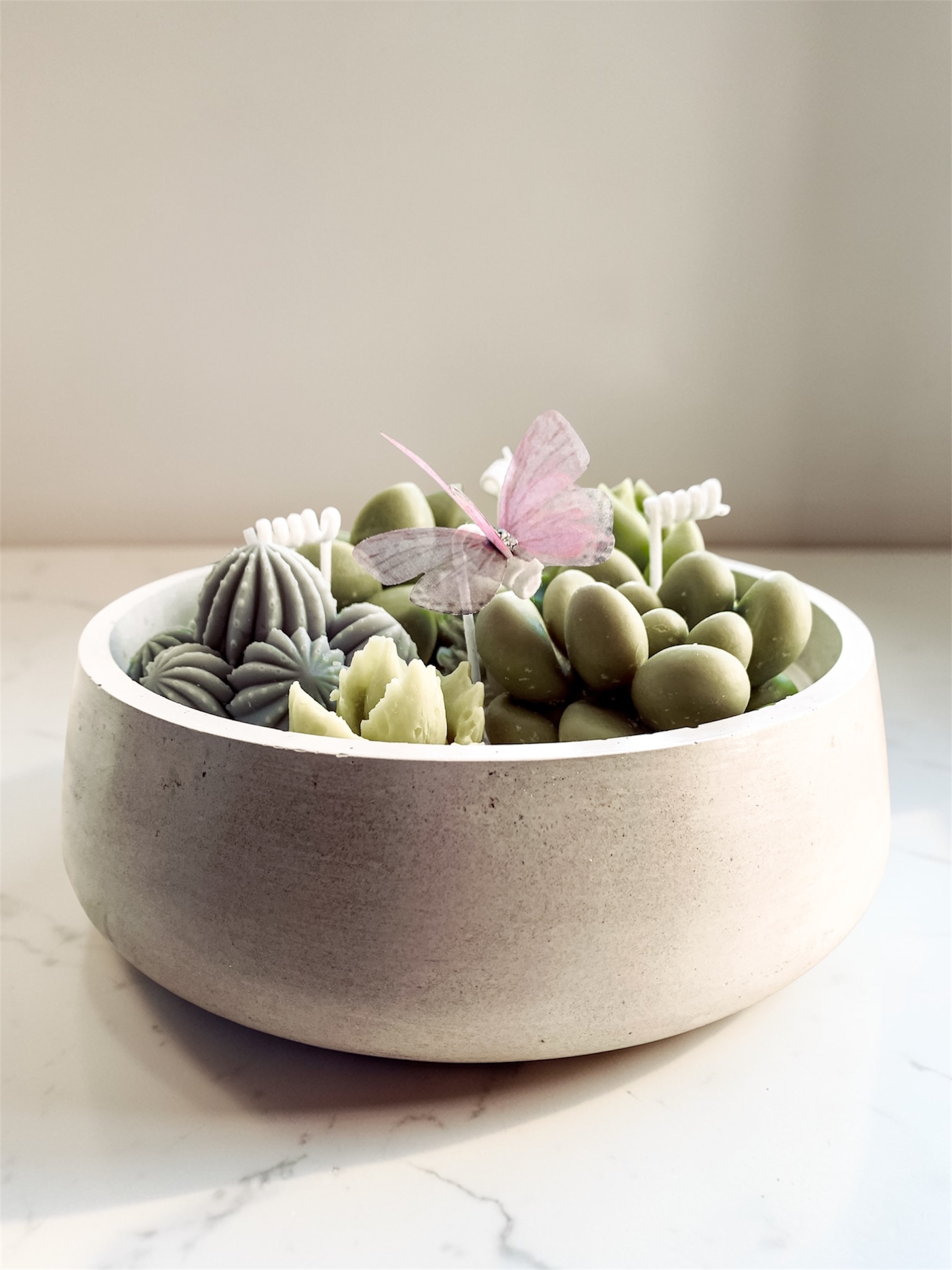 Świeca sojowa z kaktusami i motylkiem w dużym gipsowym, pojemniku.