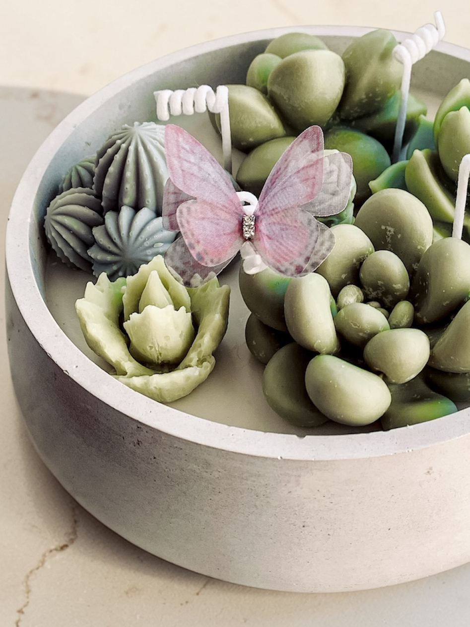 Świeca sojowa z kaktusami i motylkiem w dużym gipsowym, postarzanym pojemniku.