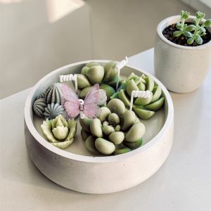 Świeca sojowa z kaktusami i motylkiem w dużym gipsowym, celowo postarzanym pojemniku.